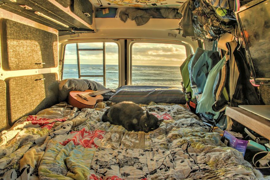 Guy Quits Job and Sells Everything He Owns Just to Travel With His Cat