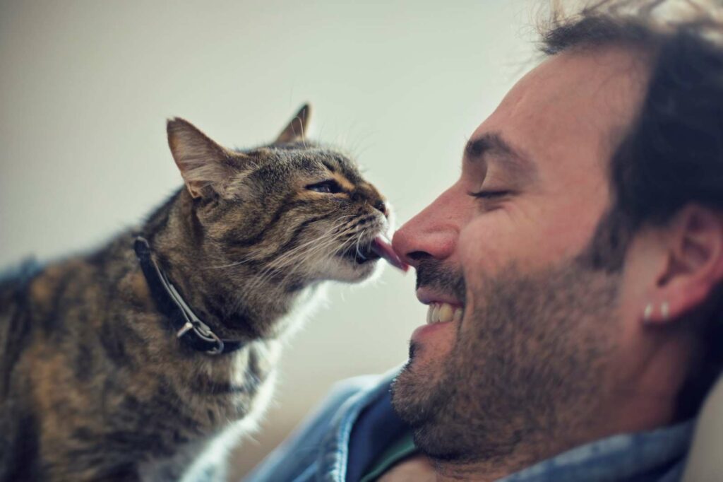 The Healing Powers Of Cats: Your Furry Friend Can Boost Your Health