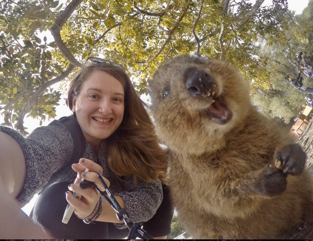 Quokka – The Happiest Animal On Earth, With Photo Evidence