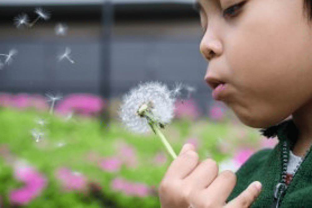Make A Wish! Magical Moments In Life When You Should Ask For Desirable