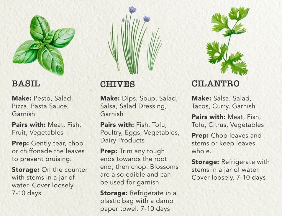 Guide to Cooking with Fresh Herbs