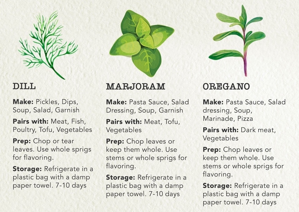 Guide to Cooking with Fresh Herbs