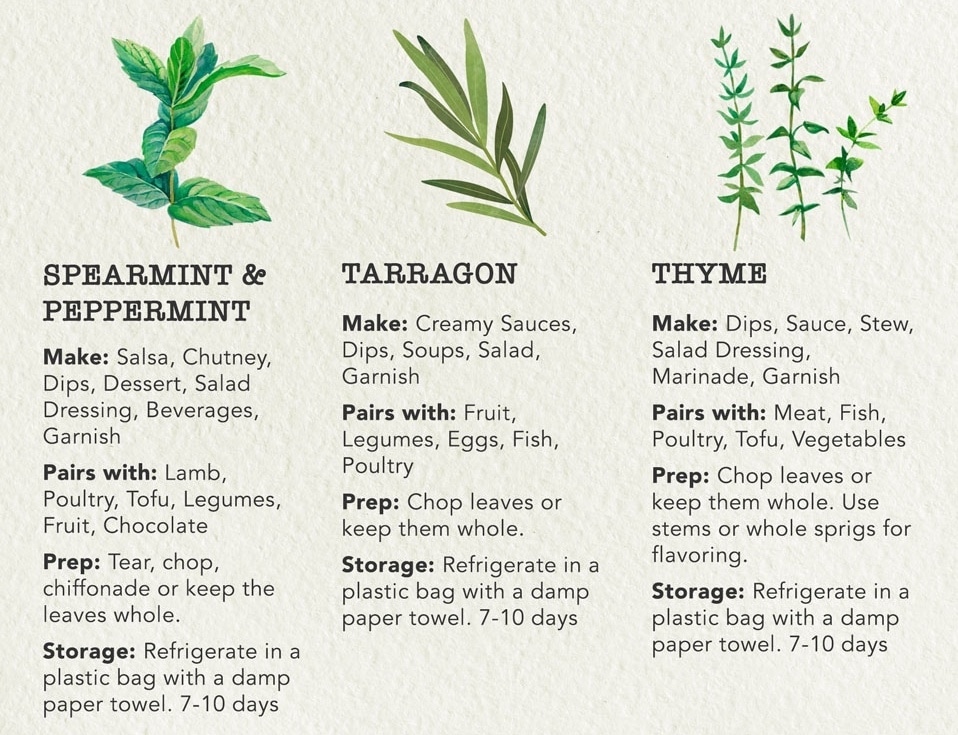 Guide to Cooking with Fresh Herbs