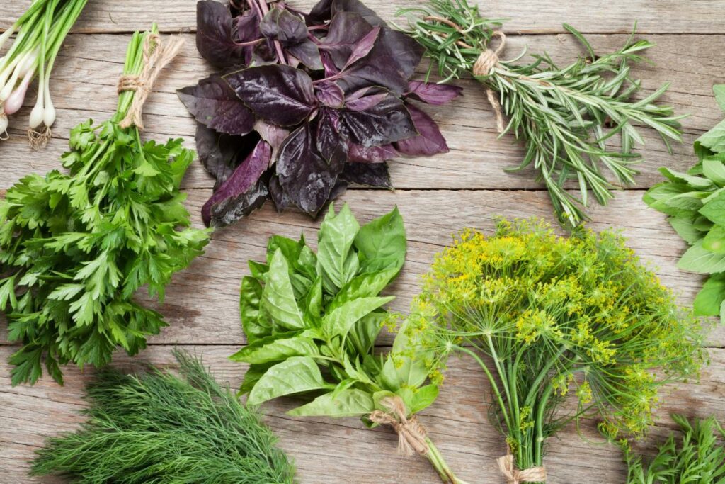 Guide to Cooking with Fresh Herbs