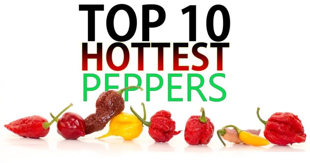Top 10 World’s Hottest Peppers