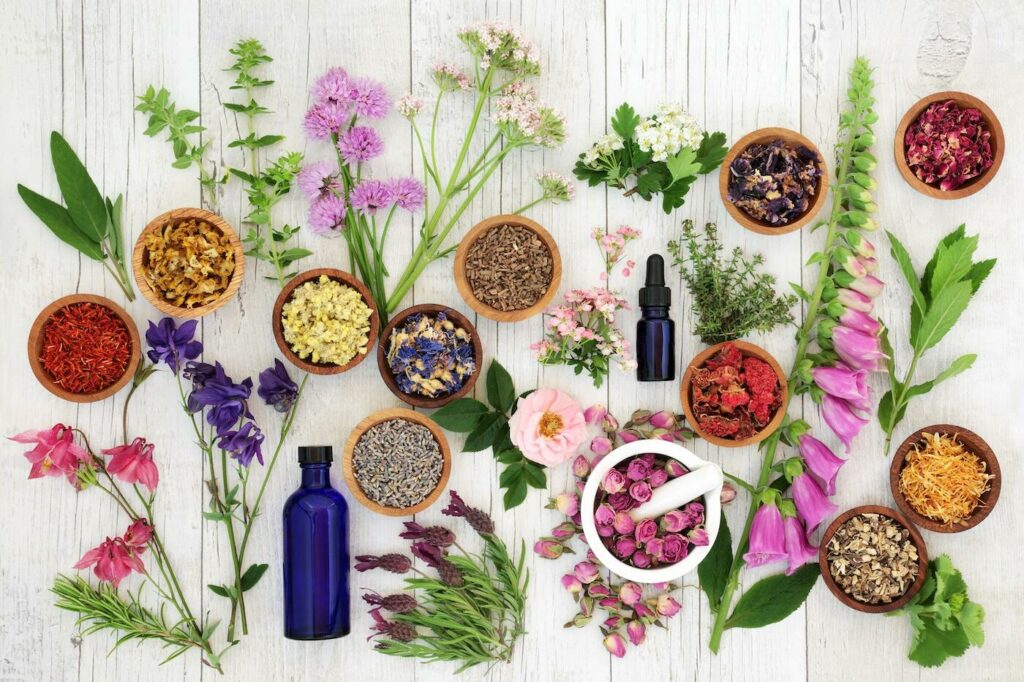 The 10 Best Essential Oils That Everyone Should Have In Their Collection