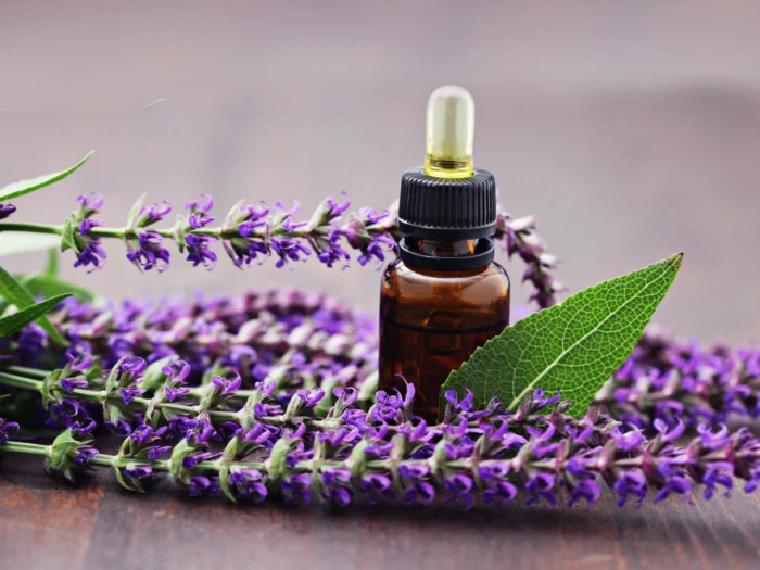The 10 Best Essential Oils That Everyone Should Have In Their Collection