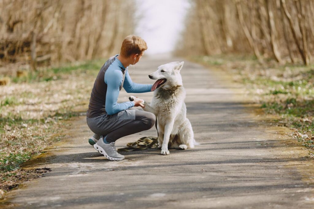 How To Choose The Right Dog Walker Or Pet Sitter