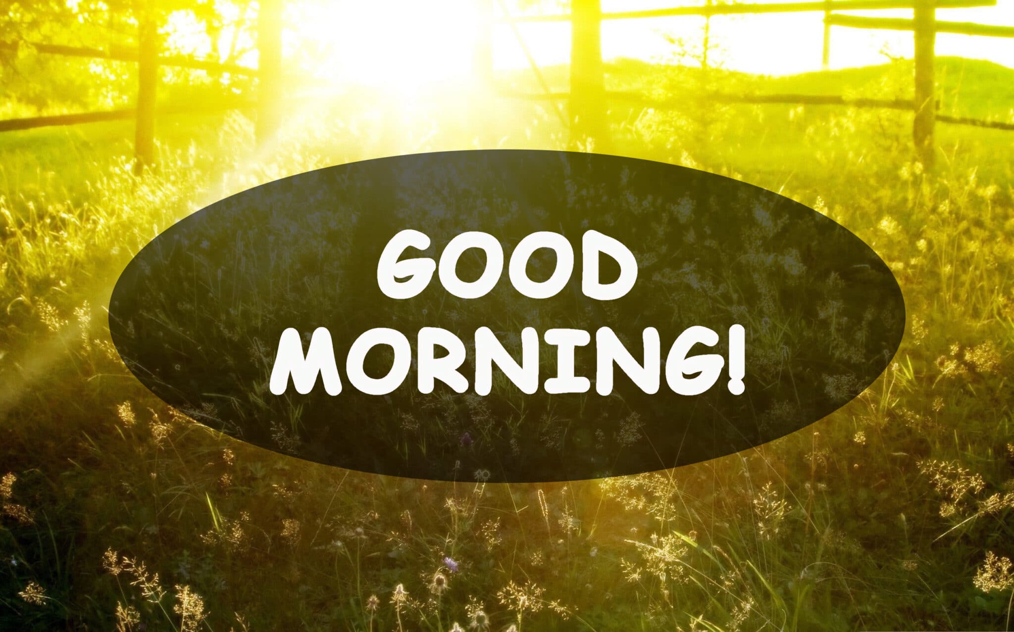 200+ Good Morning Messages, Wishes And Quotes